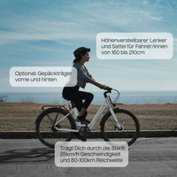 E - Bike City Classic – TWHEELS - TWHEELS