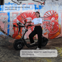 E - Roller Schwarz Matt – TWHEELS - TWHEELS