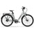 Luggage rack for e-bike city classic
