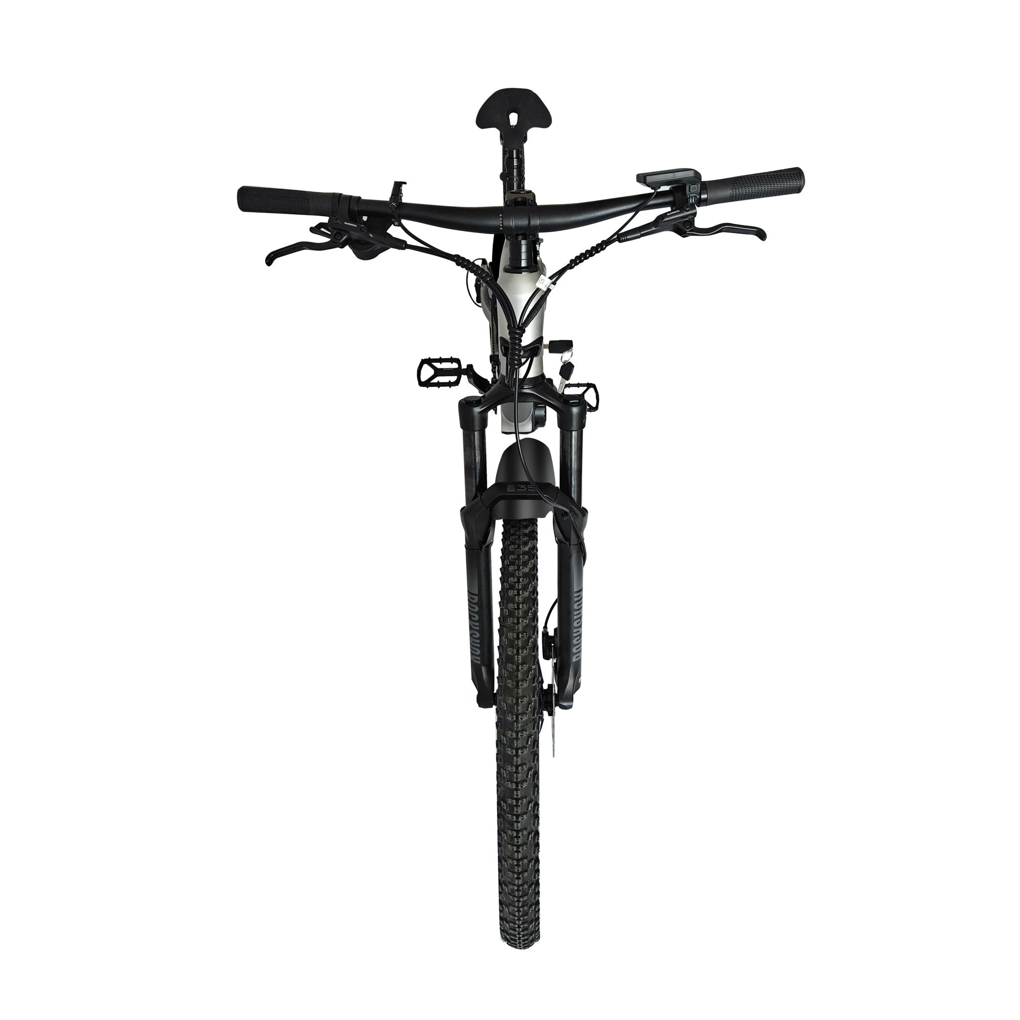 E-Mountain Bike
