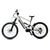 E - Mountain Bike - TWHEELS