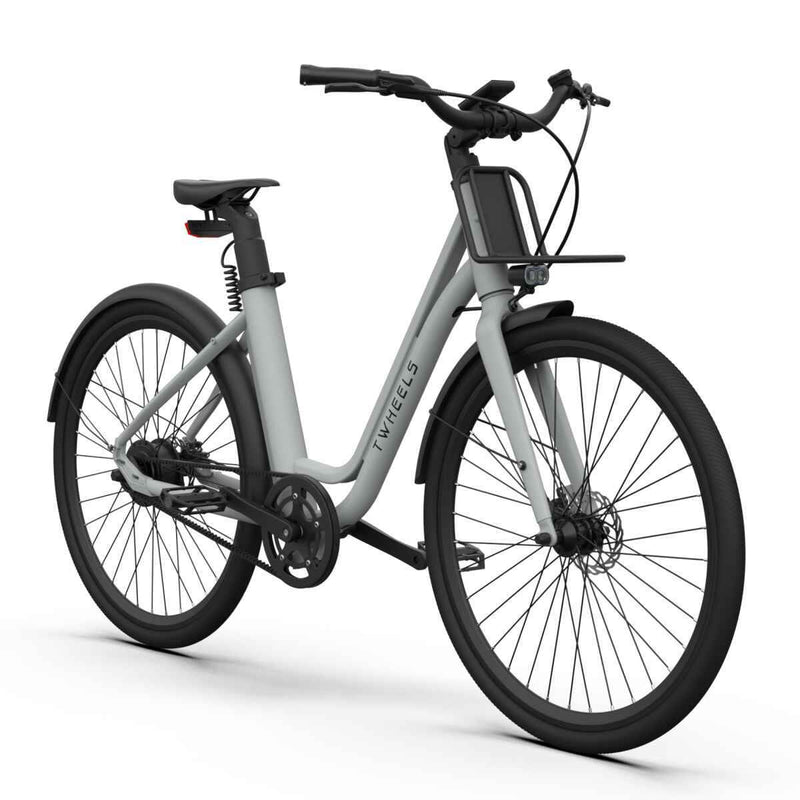 Graues E-Bike City Classic mit schwarzem Front-Gepäckträger, Schutzblechen und Scheibenbremsen.