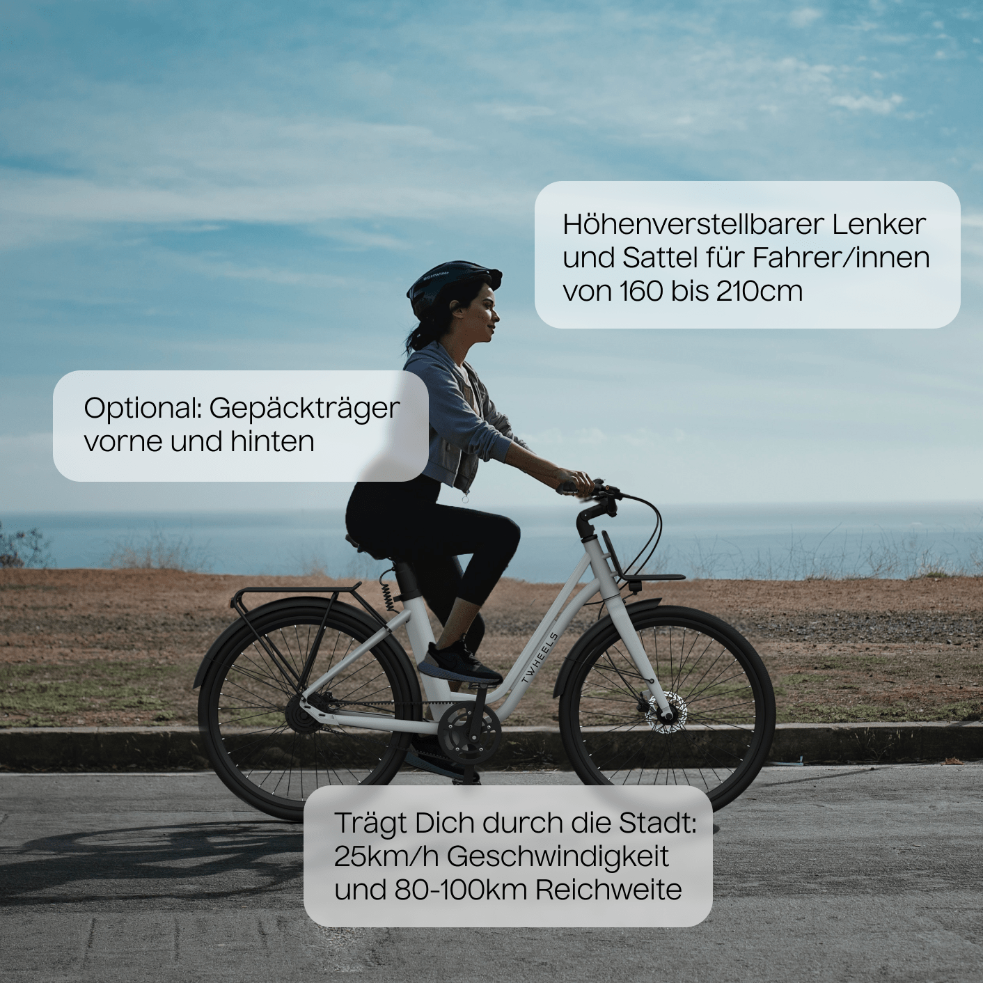 E - Bike City Classic – TWHEELS - TWHEELS