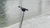 E-Scooter City Trottinett – TWHEELS