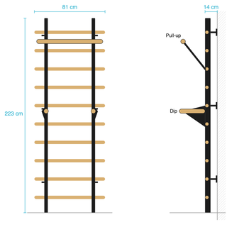 Massbild der TWHEELS Sprossenwand mit Pull Up und Dip Bar: 81 cm breit, 223 cm hoch, 14 cm tief, beide Aufsätze in der Seitenansicht.