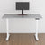 Standing Desk - TWHEELS