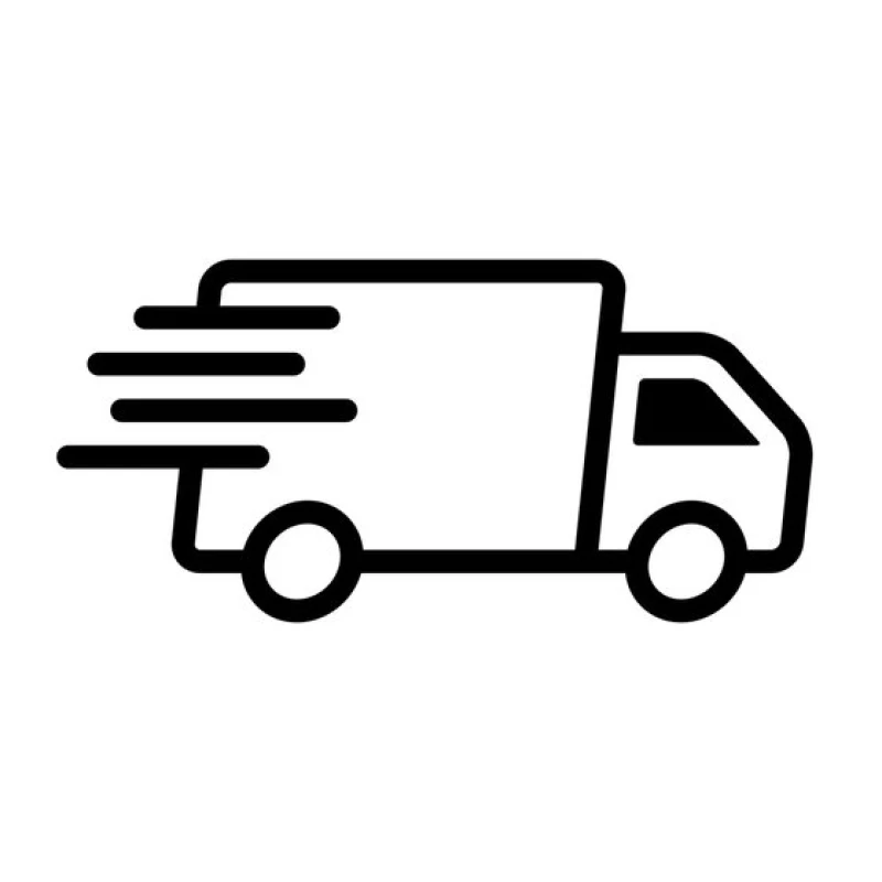 Shipping Express Icon