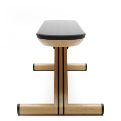 Banc de musculation TWHEELS6